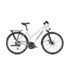 RALEIGH Rushhour 1.0 | 28TR | S45 | grey