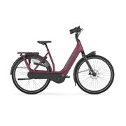 Gazelle Avignon C8 | L61 | Coral red | ohne Akku | 23