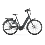 Gazelle Arroyo C5 Elite Belt | L53 | Grey | ohne Akku | 24