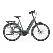 Gazelle Arroyo C5 Elite HMB | L53 | Petrol | ohne Akku