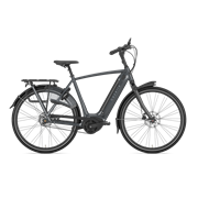 Gazelle Arroyo C5 Elite Belt | H61 | Grey | ohne Akku | 24