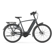 Gazelle Arroyo C5 Elite Belt | H57 | Grey | ohne Akku | 24