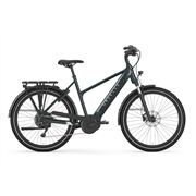 Gazelle MEDEO T10 Trapez 55cm pine green ohne Akku 24