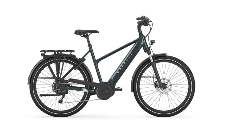 Gazelle MEDEO T10 Trapez 55cm pine green ohne Akku 24