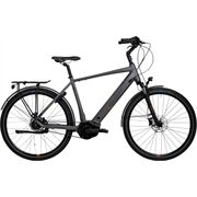 BBF Bern 2.0 | Herren | Rh.56cm | anthrazit-matt | 24