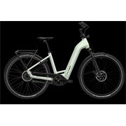 Flyer Gotour 5.43 | Comf XL | Frosty | 750Wh | 24