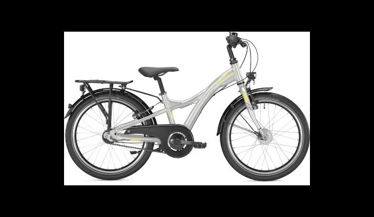 FALTER FX 203 Y-Type 28 cm | 20'' | ice grey | 2025
