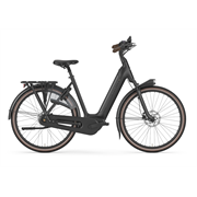 Gazelle Arroyo Elite C8+ HMB L53 Schwarz 600Wh