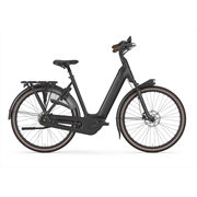Gazelle Arroyo Elite C8+ HMB L53 Schwarz 600Wh