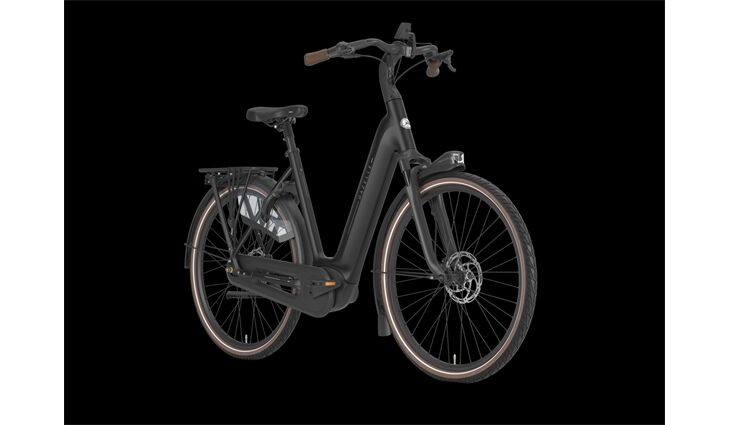 Gazelle Arroyo Elite C8+ HMB L49 Schwarz 600Wh