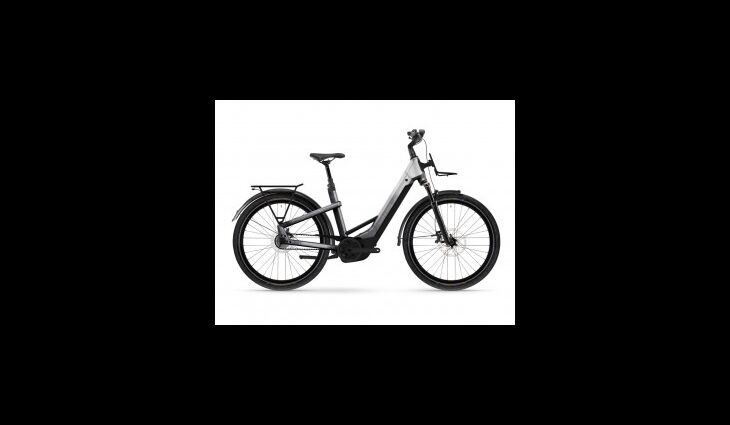 Winora YAKUN R5 PRO LOW i800Wh 5-G M/47 downtown/haze