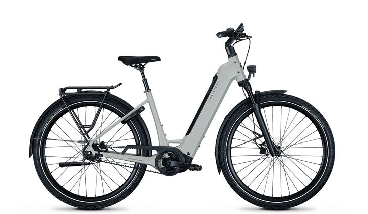 Kalkhoff IMAGE 3 EXCITE 29WA M48 C Grau 600WH