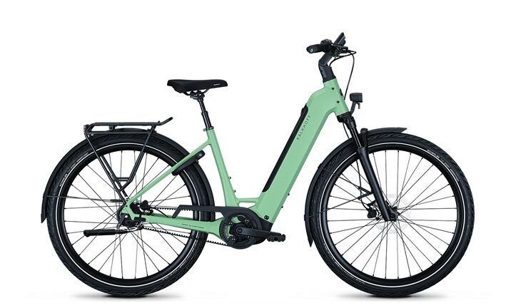 Kalkhoff IMAGE 3 EXCITE 29WA M48 RT Grün 600WH