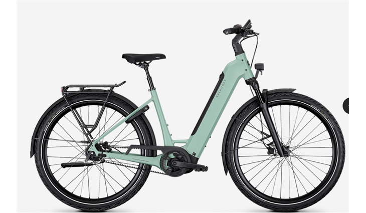 Kalkhoff IMAGE 3 EXCITE 29WA L53 C Sagegreen matt 600WH