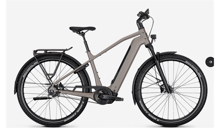 Kalkhoff ENTICE 3 EXCITE BELT 29DI L53 F GRAU 600WH