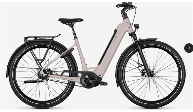 Kalkhoff IMAGE 3 EXCITE 29WA M48 F Hellgrau 600WH
