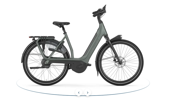 Gazelle AVIGNON C380+ HMB L49 twilight green 800Wh